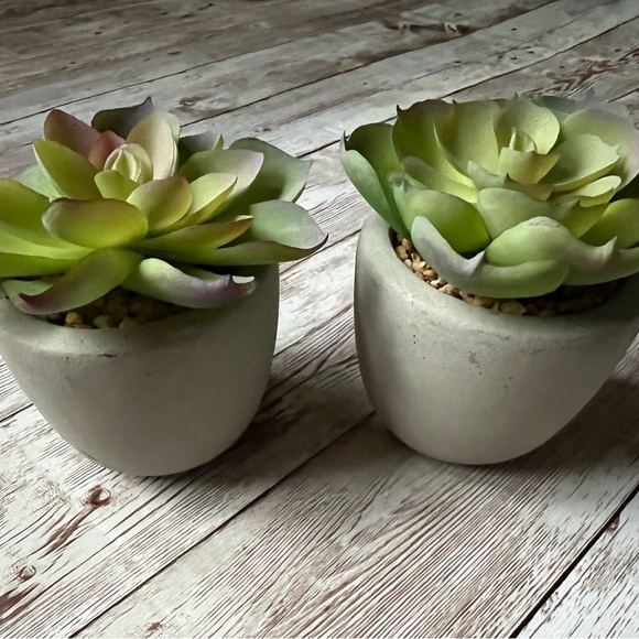 Cost Plus World Market Other - ℕ𝔼𝕎 World Market Faux Succulent Mini Plants